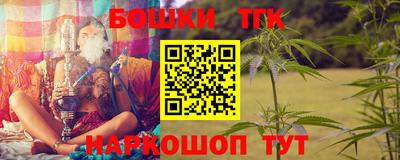 индика Бердск