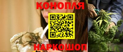 индика Бердск