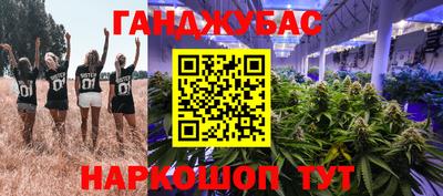 индика Бердск