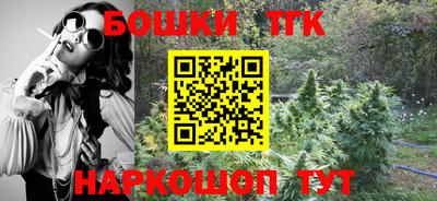 индика Бердск